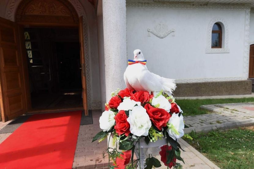 IMG-20191215-WA0001 - Sectiunea 1C-Porumbei albi pentru evenimente