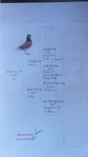 579811-2011 M - Cuplul 3