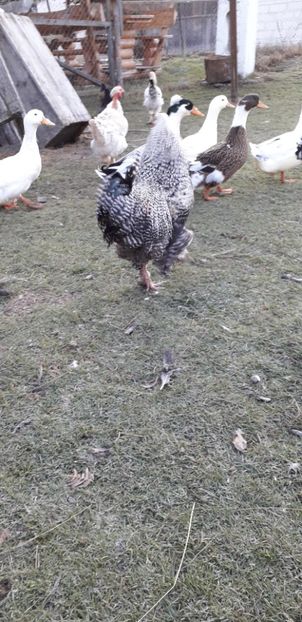 20191215_084359(0) - C1 Contact