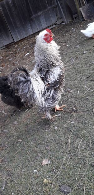 20191215_084353(0) - C1 Contact