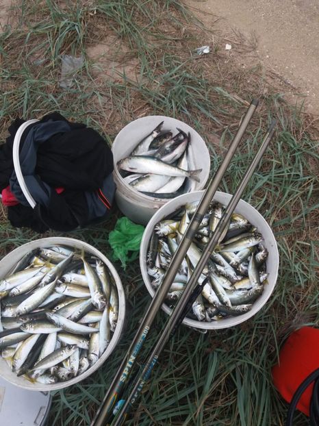  - vanatoare si pescuit