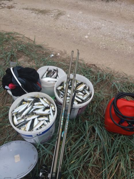  - vanatoare si pescuit