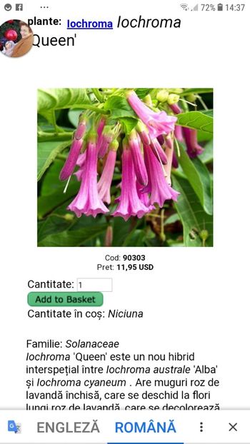 Screenshot_20191215-143721_Chrome - achizitii-00