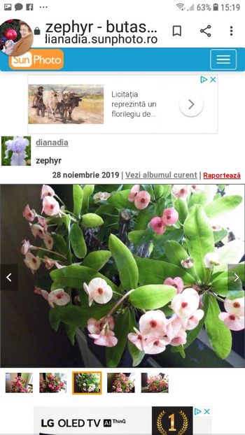 Screenshot_20191215-151956_Chrome - achizitii-00