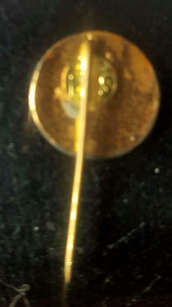 FCM Galati Insigna - Dunarea Galati Istorie Part 3