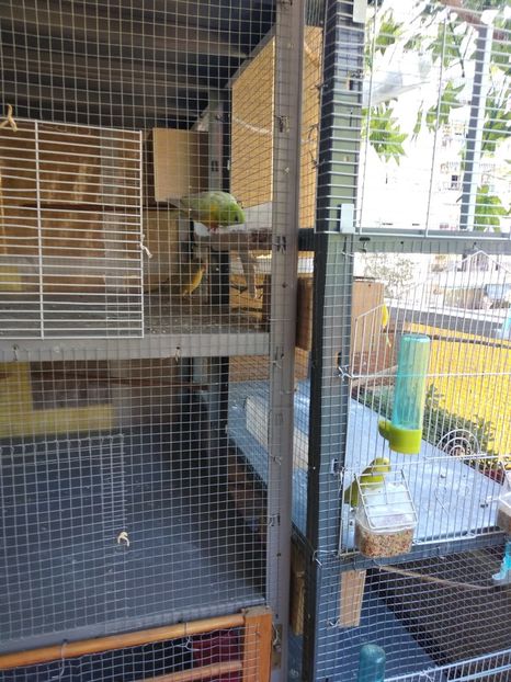  - Ce detin in Spania