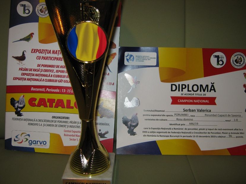  - EXPO NATIONALA Decembrie 2019