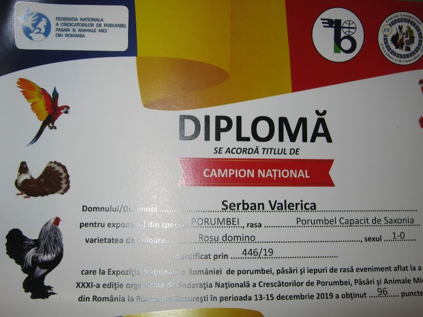  - EXPO NATIONALA Decembrie 2019