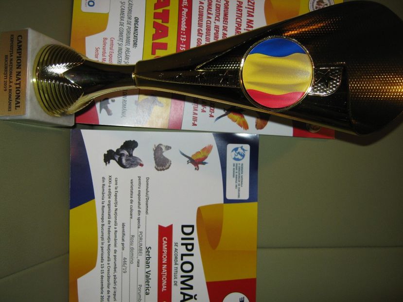  - EXPO NATIONALA Decembrie 2019