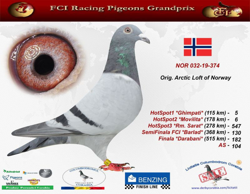 "Arctic Beauty" - Arctic Beauty