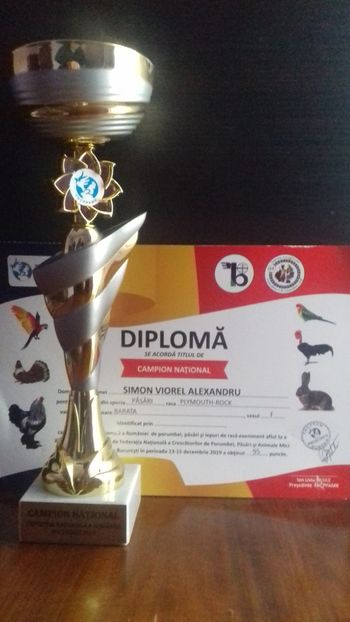  - EXPOZITII SI REZULTATE