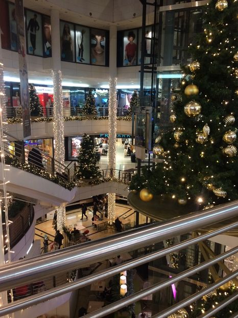 2.12.2019 - Z- Căciun fericit și La mulți ani