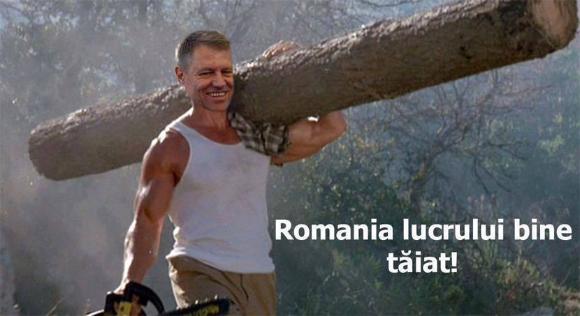  - Poze haioase pamflet