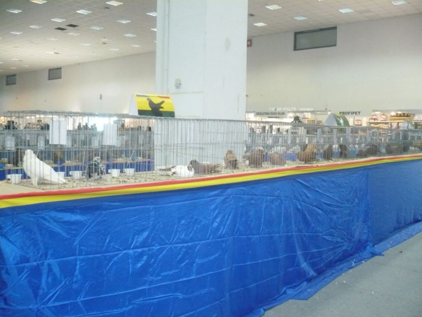 P1030235 - Expo Provinciala Muntenia 2019
