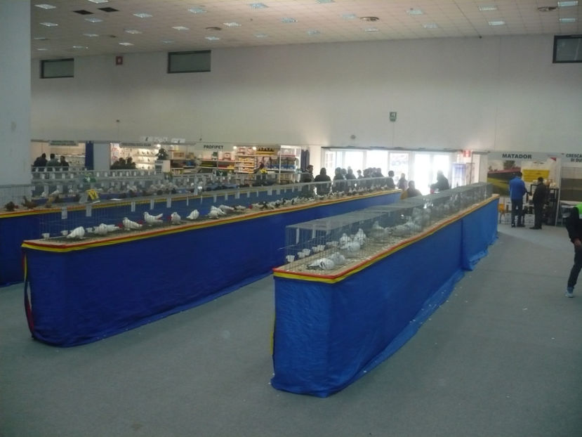 P1030236 - Expo Provinciala Muntenia 2019