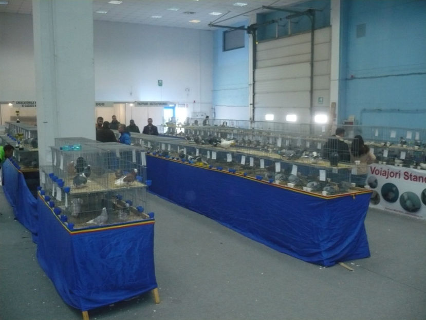 P1030237 - Expo Provinciala Muntenia 2019