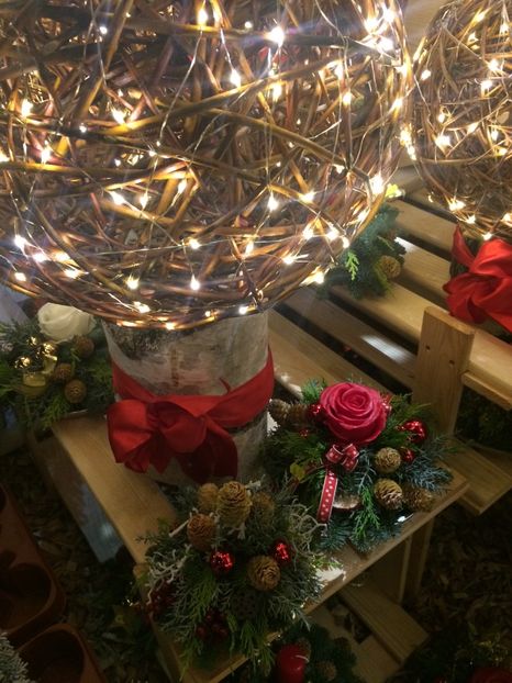 17.12.2019 - Z- Căciun fericit și La mulți ani