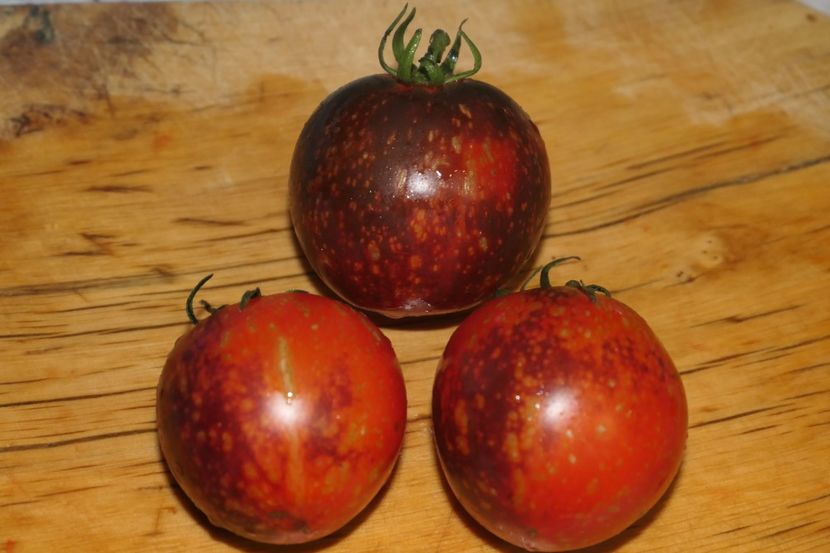 BLUE FIRE (23) - BLUE FIRE