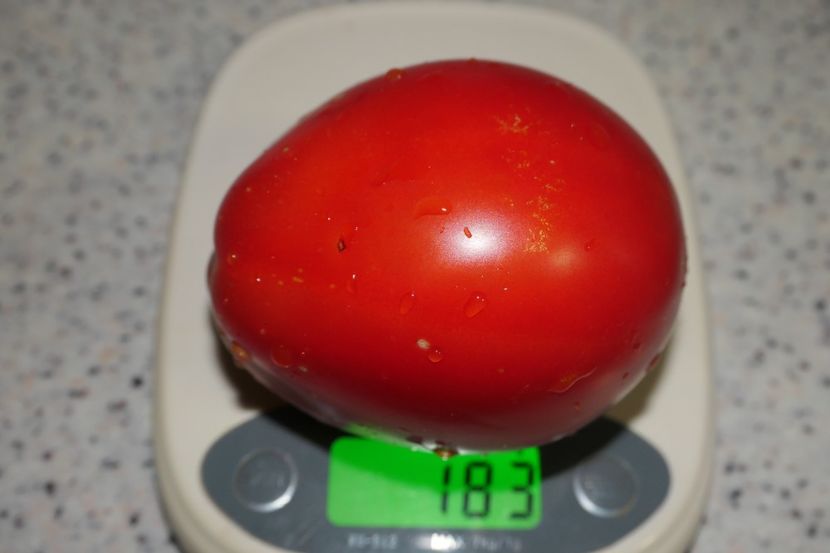 BUFFALO HEART (7) - BUFFALO HEART