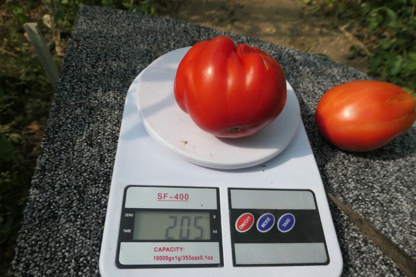 BUFFALO HEART (53) - BUFFALO HEART