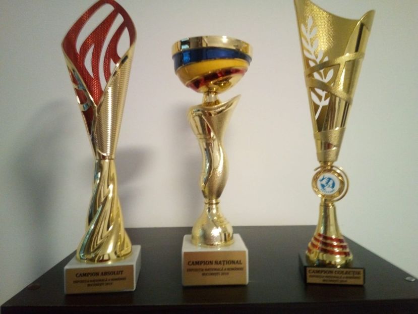  - 0 - REZ EXPO NAT BUC 2019