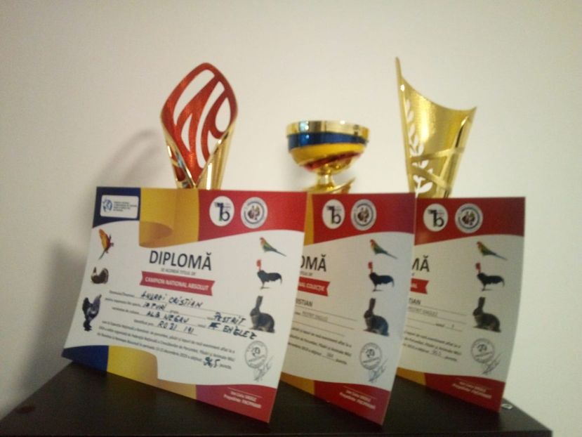  - 0 - REZ EXPO NAT BUC 2019