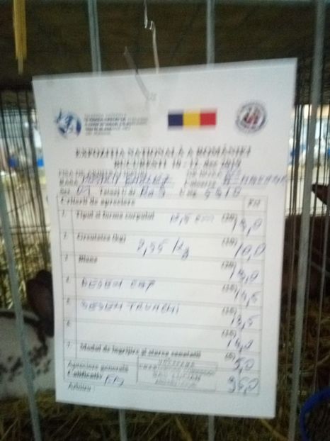  - 0 - REZ EXPO NAT BUC 2019