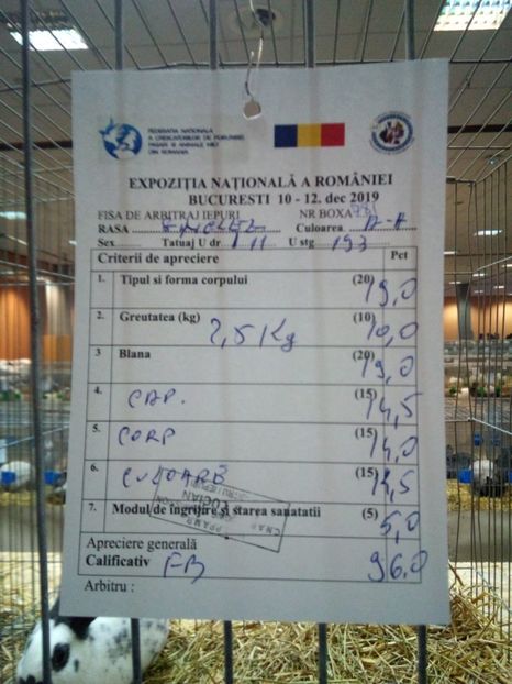  - 0 - REZ EXPO NAT BUC 2019