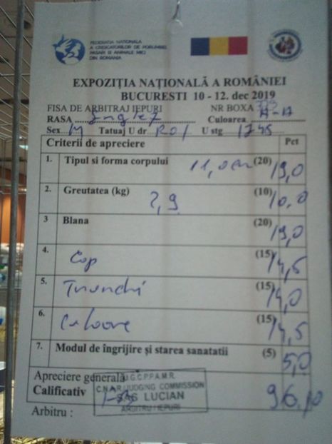  - 0 - REZ EXPO NAT BUC 2019