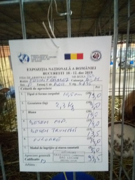  - 0 - REZ EXPO NAT BUC 2019