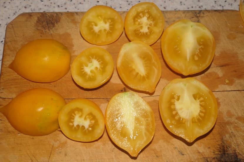 CITRINA (17) - CITRINA