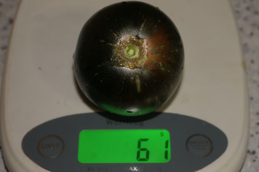 COSMIC ECLIPSE (3) - COSMIC ECLIPSE