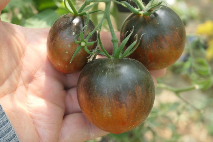 COSMIC ECLIPSE (11) - COSMIC ECLIPSE