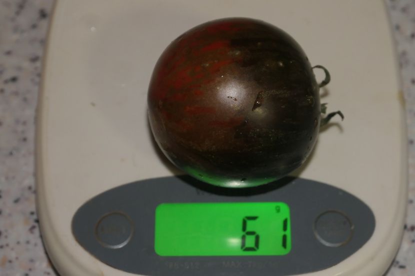 COSMIC ECLIPSE (22) - COSMIC ECLIPSE