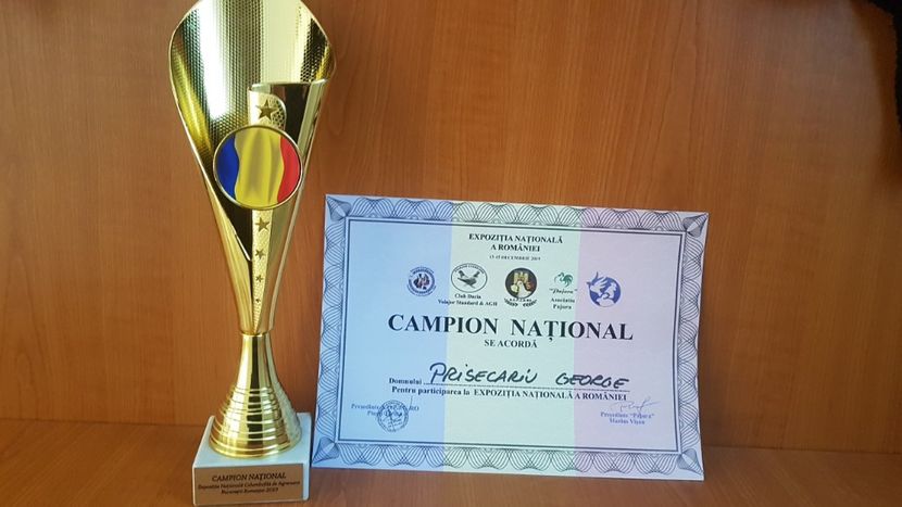  - Expoziția Națională 14-15 dec 2019 Bucuresti