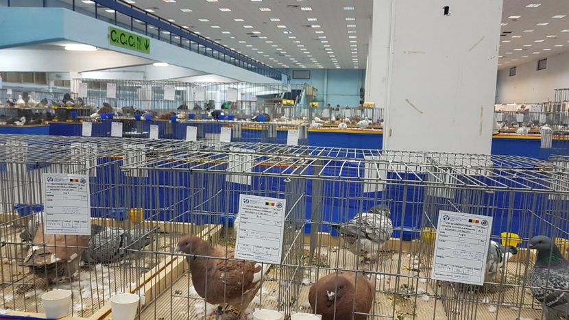  - Expoziția Națională 14-15 dec 2019 Bucuresti