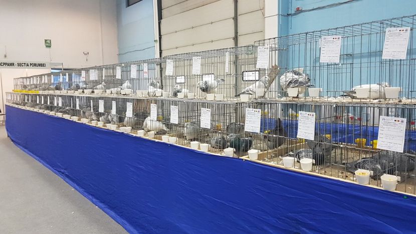  - Expoziția Națională 14-15 dec 2019 Bucuresti