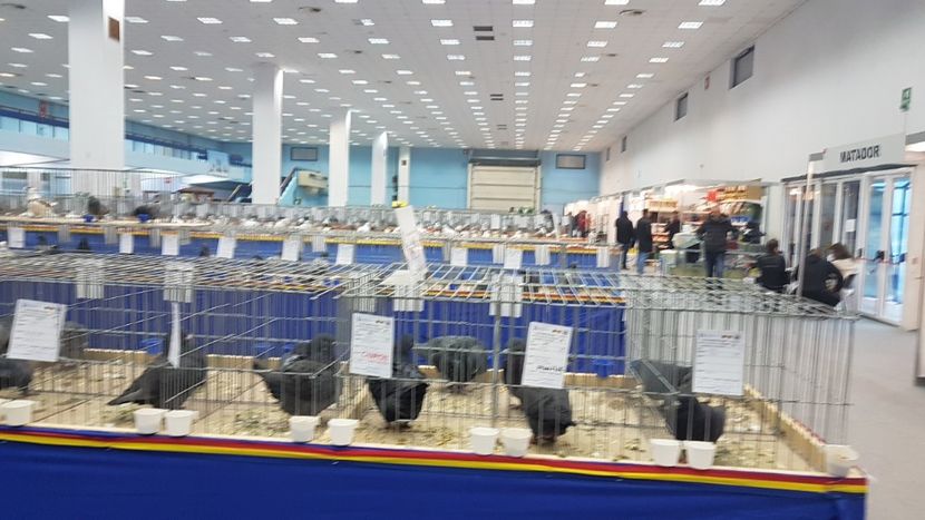  - Expoziția Națională 14-15 dec 2019 Bucuresti