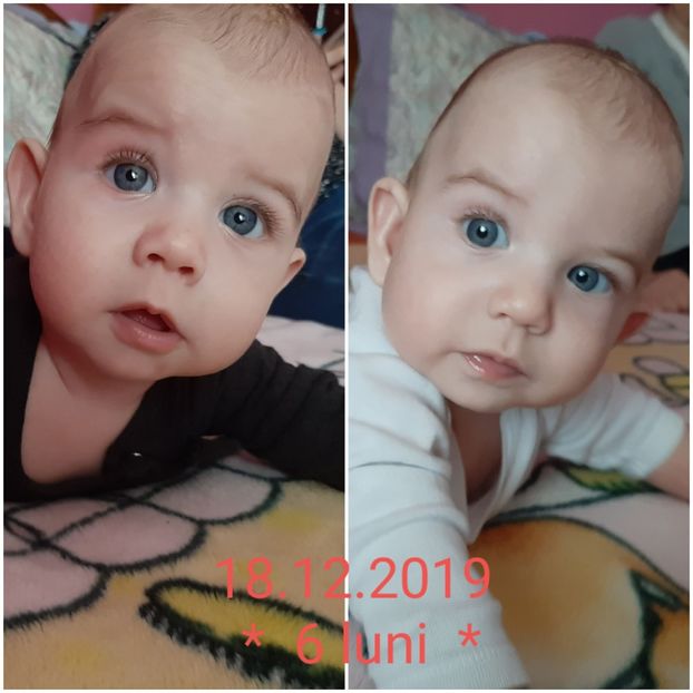  - Gemenii în decembrie 2019