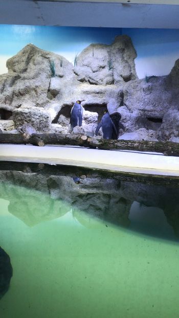 22D7250A-4668-441C-83D6-AFAB564C8F43 - Tierpark München