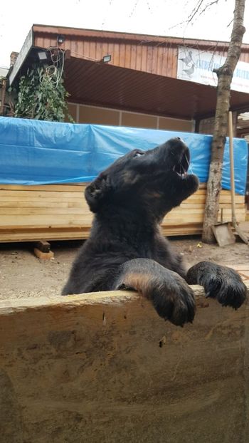 IMG-20191219-WA0020 - Thasa 2019