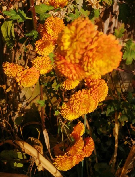 19.09.19 - Decembrie 2019