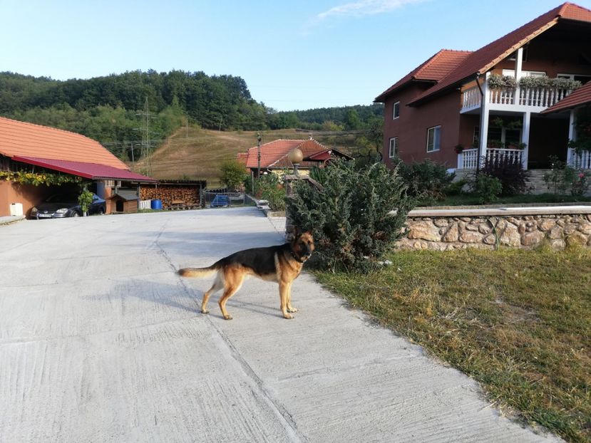  - Toamnă 2019
