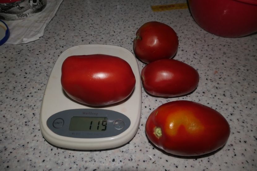 DE BARAO GIANT (34) - DE BARAO GIANT -Ukraina