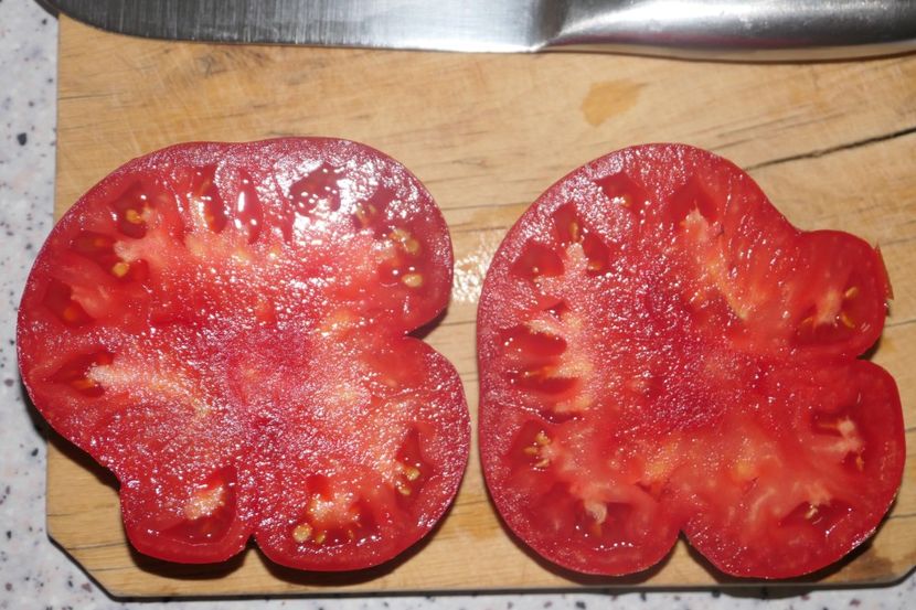 DELICIOUS (17) - DELICIOUS 2019