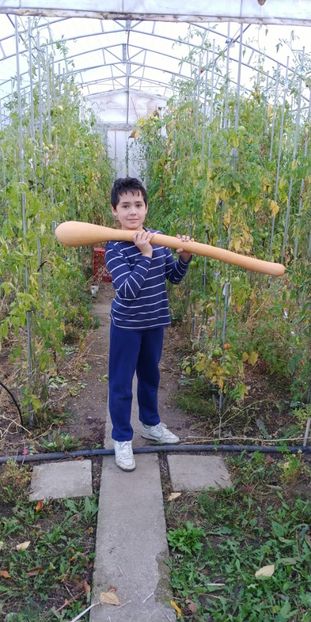 TROMBETTA NOIEMBRIE (5) - DOVLECEI TROMBETTA DALBENGA 2019