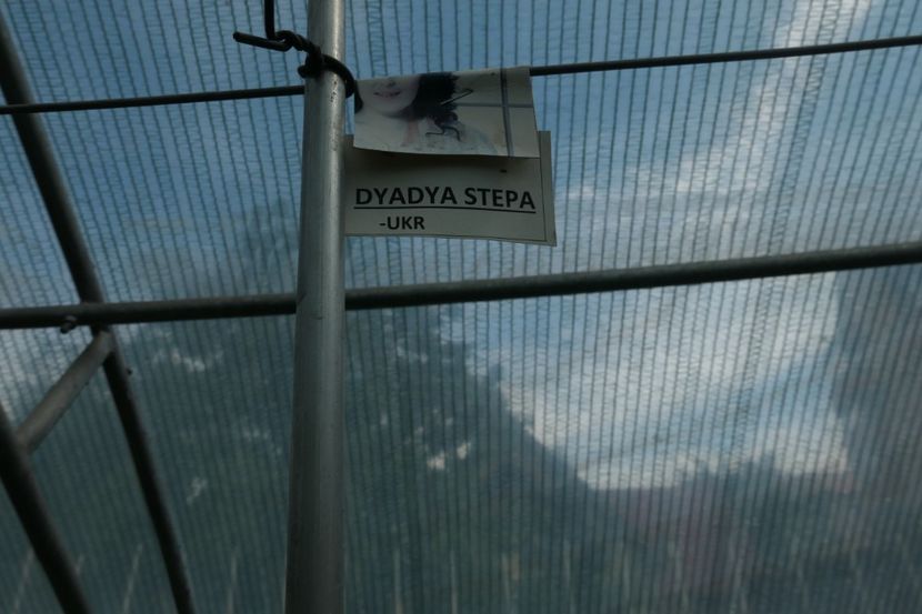 DYADYA (13) - DYADYA STEPA