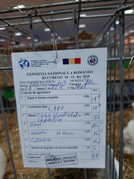  - 0 Expo National Romexpo 2019