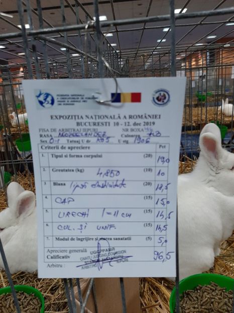  - 0 Expo National Romexpo 2019