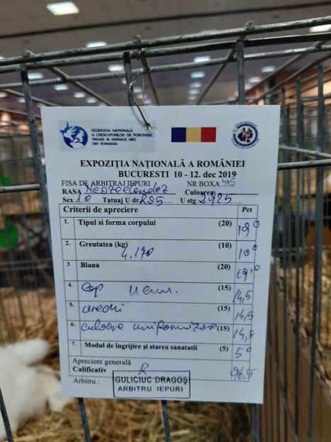  - 0 Expo National Romexpo 2019